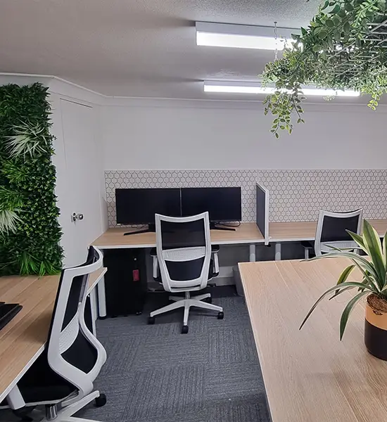 An office space with two desks equipped with dual monitor setups, ergonomic chairs, and potted plants.